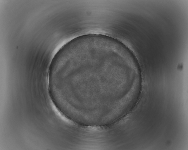 X0000111811032200908131454