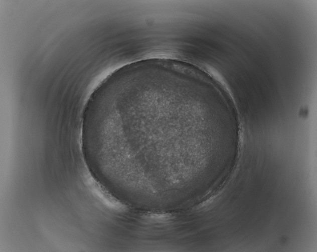 X0000111811035200908131455