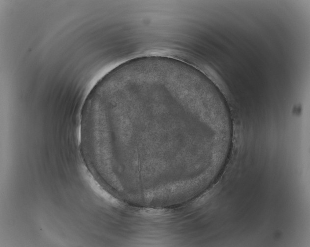 X0000111811036200908131455