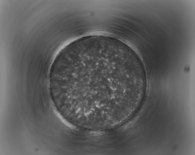 X0000111811037200908131455