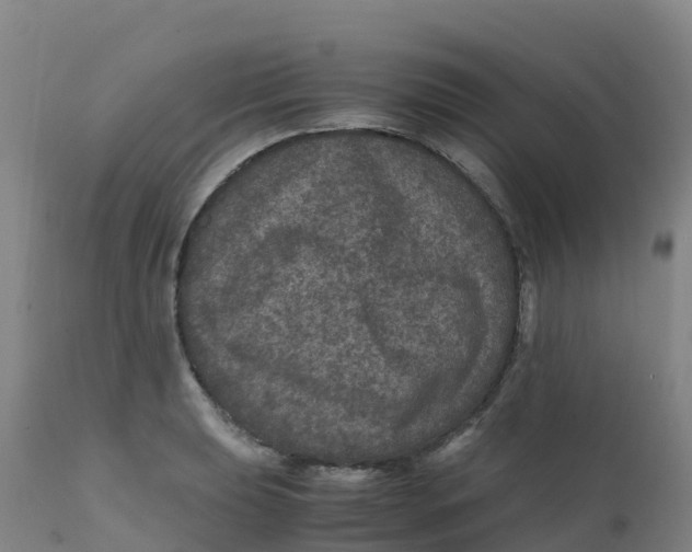 X0000111811039200908131455