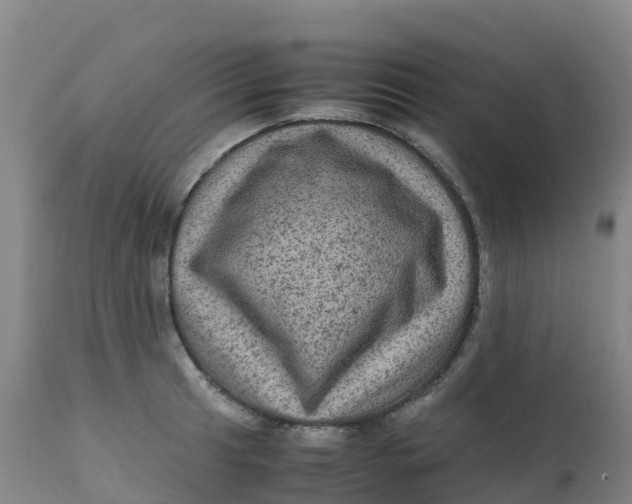 X0000111811041200908131455