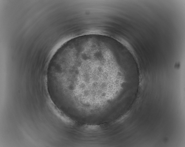 X0000111811043200908131455