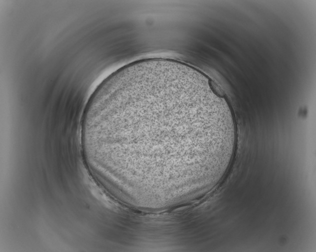 X0000111811044200908131455
