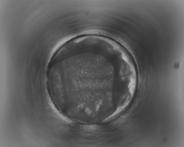 X0000111811045200908131455
