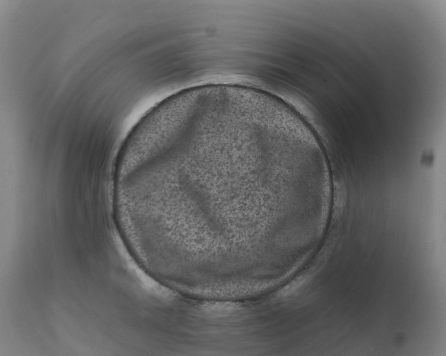X0000111811046200908131455