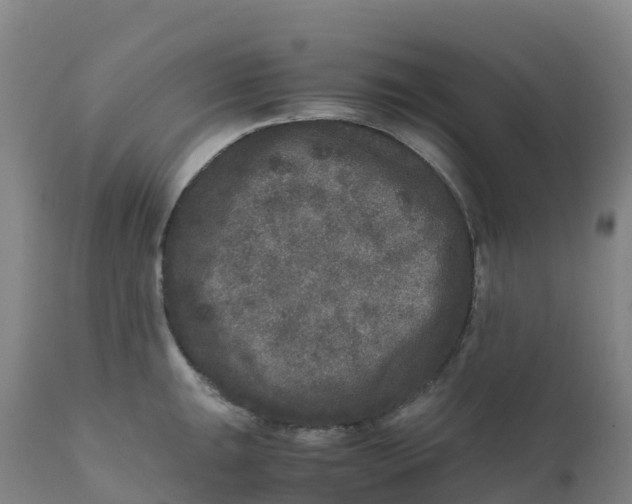 X0000111811047200908131455