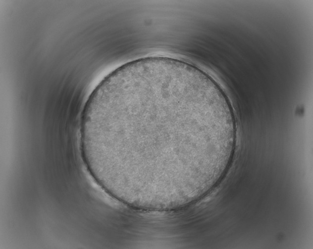 X0000111811048200908131455