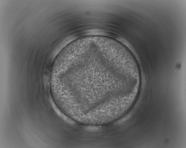X0000111811049200908131455