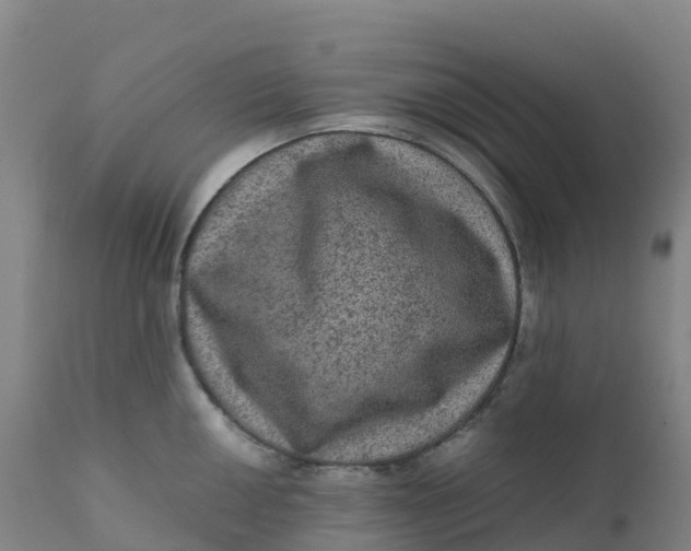 X0000111811050200908131455