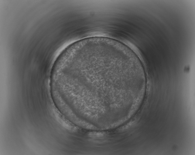X0000111811051200908131455