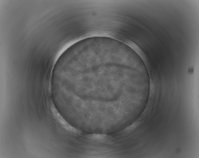 X0000111811052200908131455