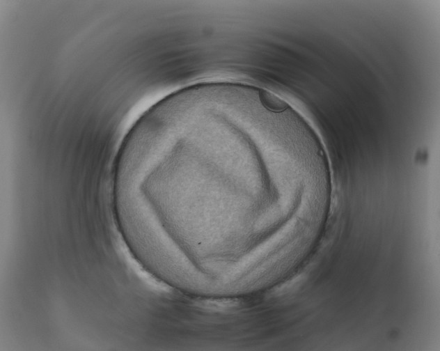 X0000111811053200908131455