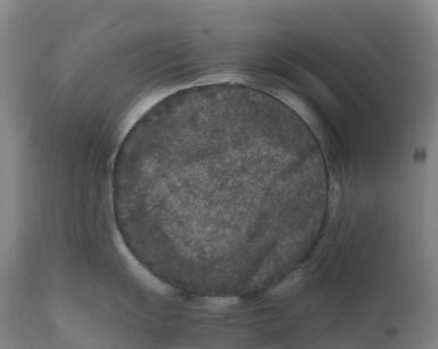 X0000111811055200908131455