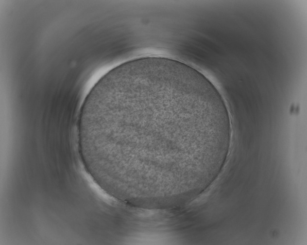 X0000111811056200908131455
