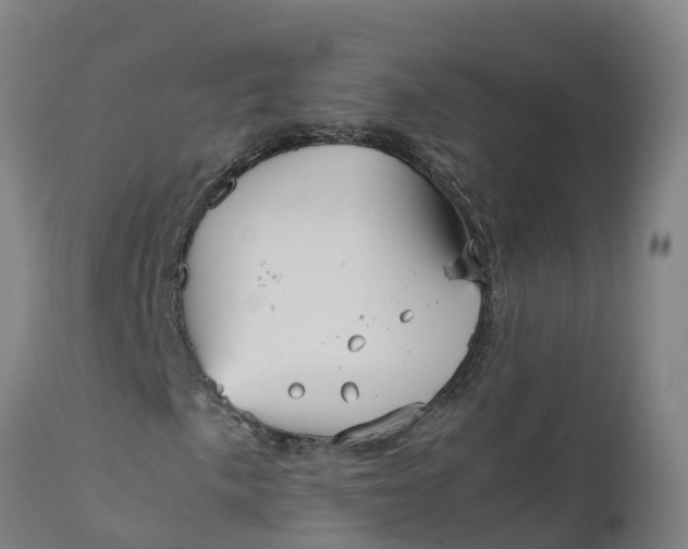 X0000111811057200908131454