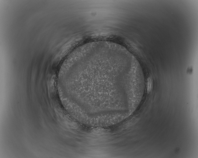 X0000111811059200908131454