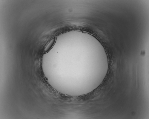 X0000111811061200908131454