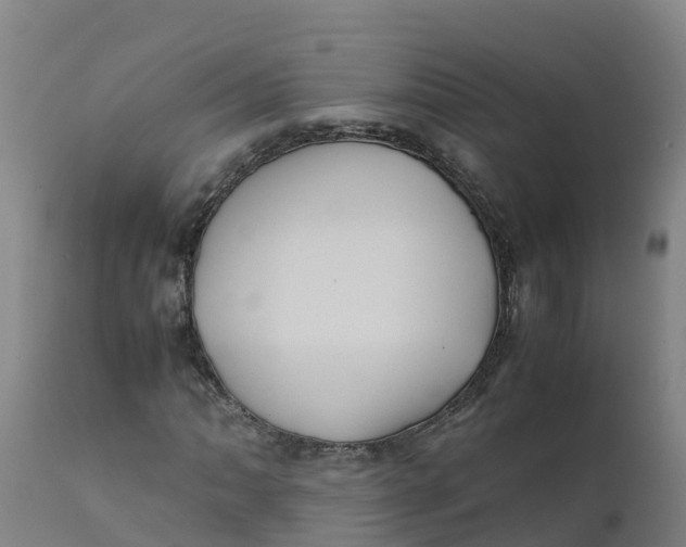 X0000111811062200908131454