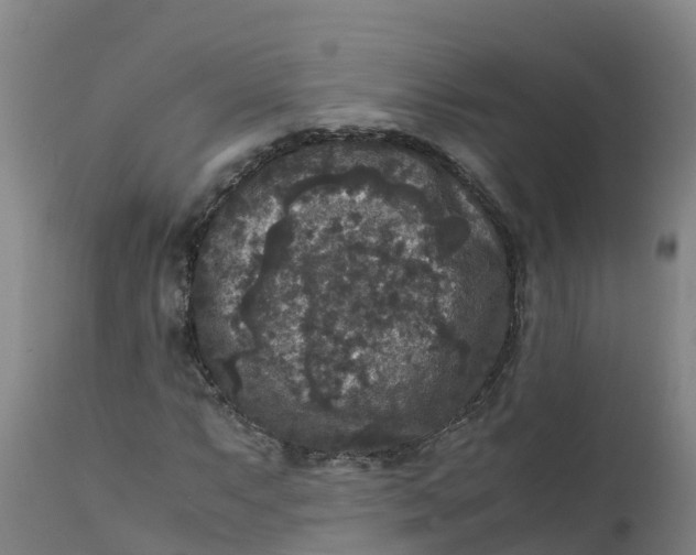 X0000111811063200908131454