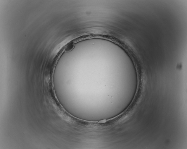 X0000111811065200908131454