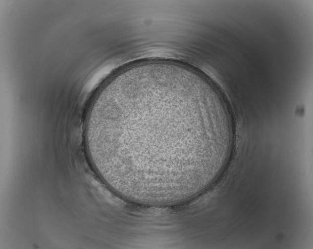 X0000111811067200908131454