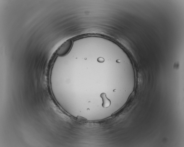 X0000111811068200908131454