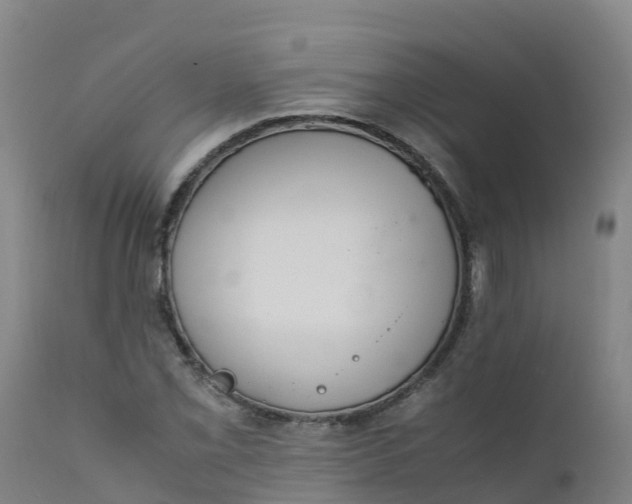 X0000111811069200908131454
