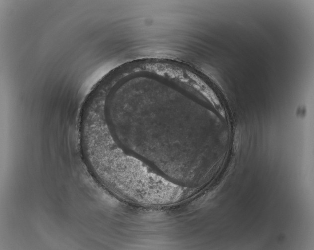 X0000111811071200908131454