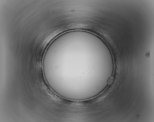 X0000111811073200908131454