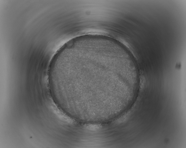 X0000111811074200908131454