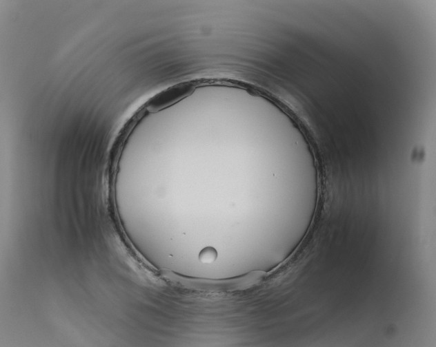 X0000111811076200908131454