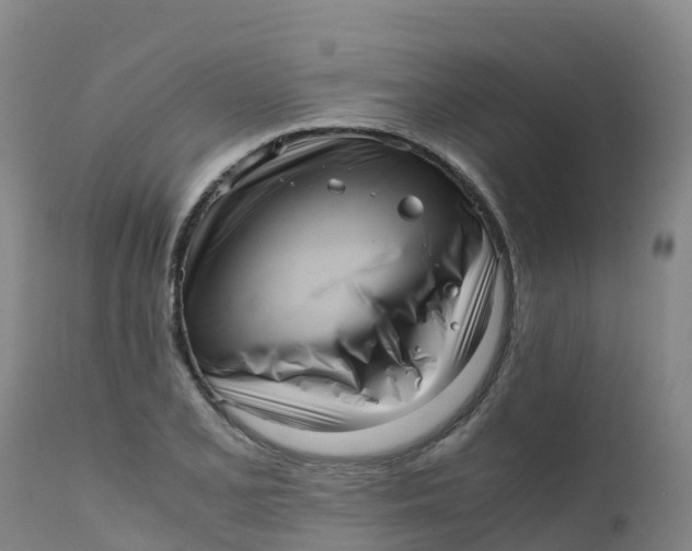 X0000111811077200908131454