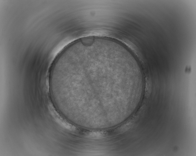 X0000111811078200908131454