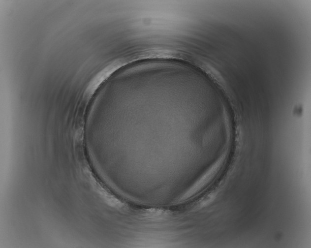 X0000111811081200908131454
