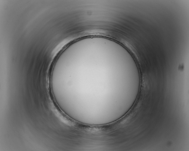 X0000111811082200908131454