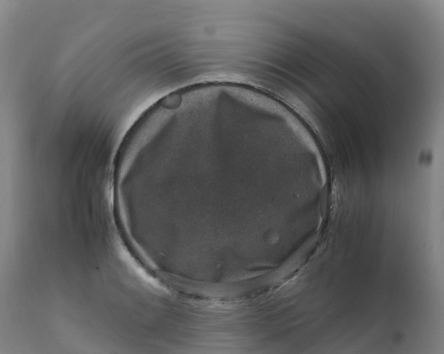 X0000111811084200908131454