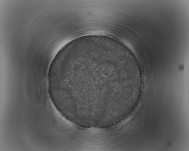 X0000111811087200908131454