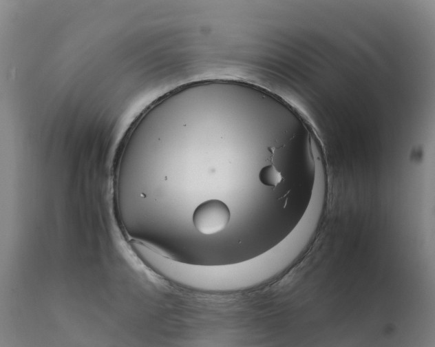 X0000111811088200908131454