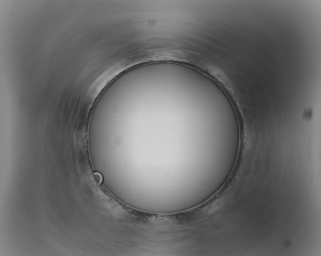 X0000111811089200908131454