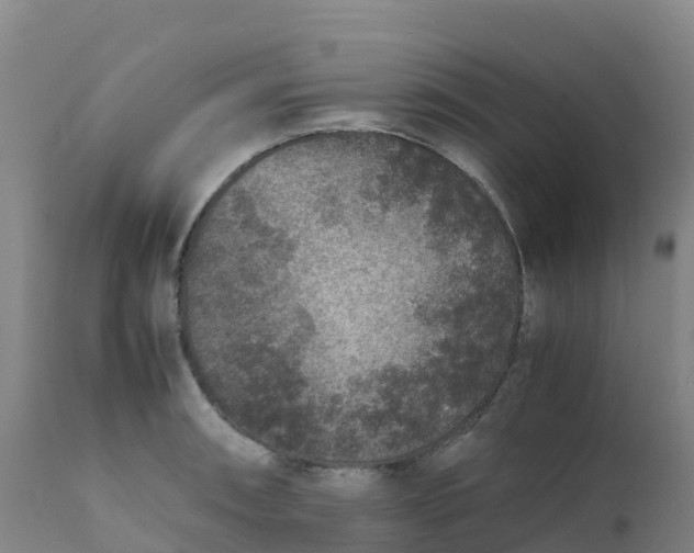 X0000111811090200908131454