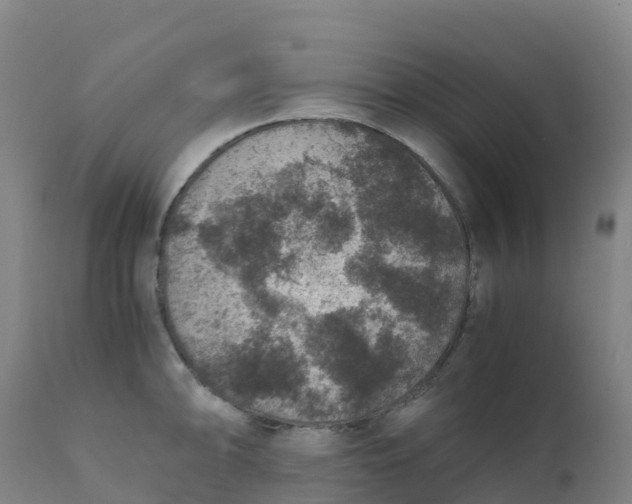 X0000111811094200908131453
