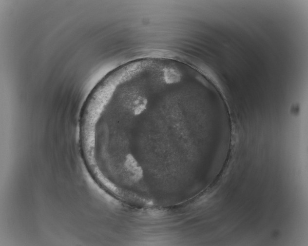 X0000111811095200908131453