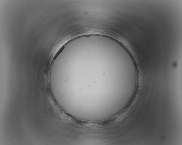 X0000111811097200908131453