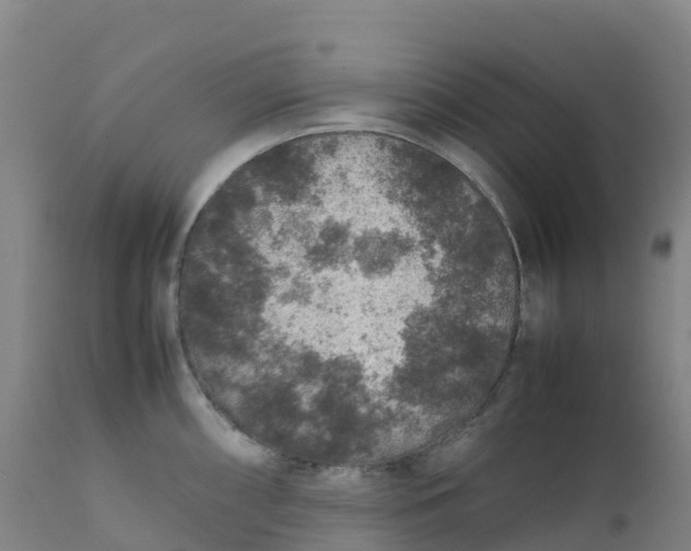 X0000111811098200908131453