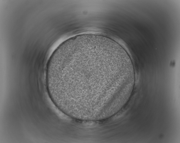 X0000111811099200908131453