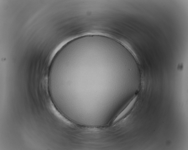 X0000111811100200908131453