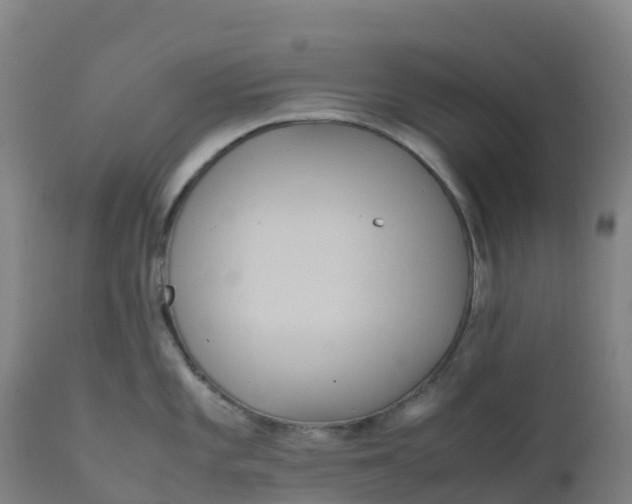 X0000111811101200908131453