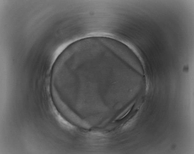 X0000111811102200908131453