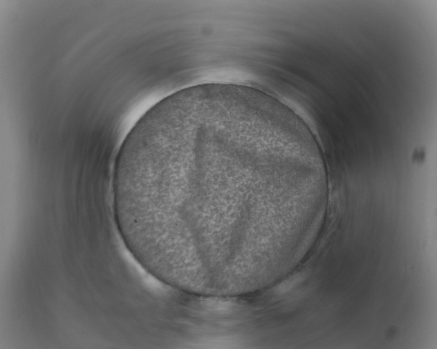 X0000111811103200908131453